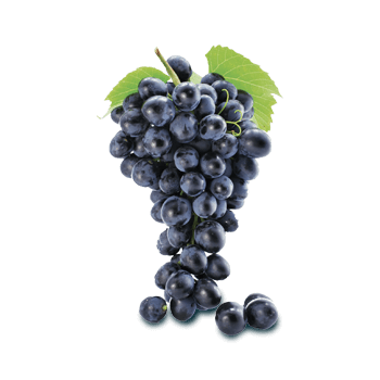 Estratto di semi d'uva